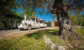 La Grotte de la Cocalière