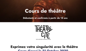 Théâtricité  - COURS DE THEATRE ADULTES AMATEURS 