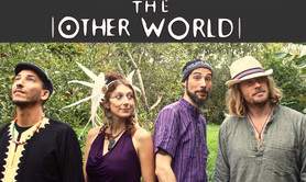 The Other World - Indie Folk