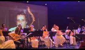 ihab ezzeldin - Cours de luth (oud oriental)