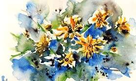 STAGE AQUARELLE AQUITAINE AOUT 2026