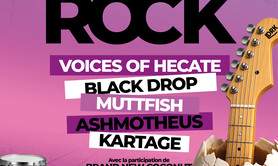 Concerts de Rock by Languederock