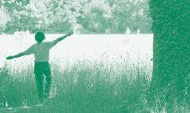 Ceci est le début d'une grande forêt - C.Cherdel