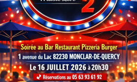 Le Duo Les Memphis 2 Guitare Voix Harmonica en Live!
