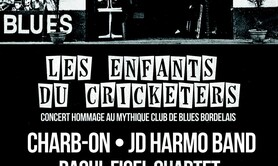 LES ENFANTS DU CRICKETERS