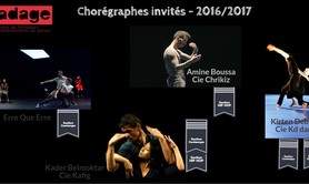CFADAGE - FORMATION PROFESSIONNELLE DU DANSEUR INTERPRETE