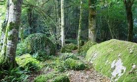 Parc des Parelles