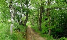 Sentier de découverte du Laring
