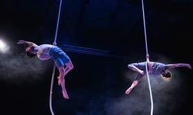 le Duo Pendu  - Compagnie de corde-lisse 
