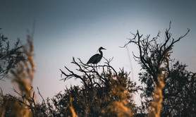 Anne Affortit - Stage Photo Avignon