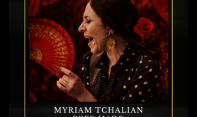 Diner Concert FLAMENCO Danse & Chant