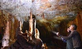 Aven Grotte Forestière