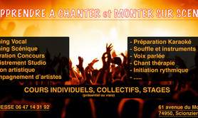 NJmusic - Ecole de Chant
