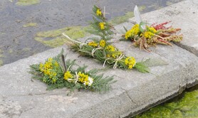 Un INSTANT de RESSOURCEMENT au JARDIN de l'Ile de Batz