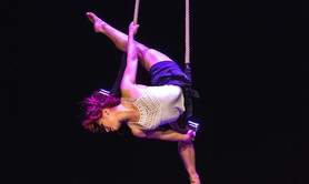 Louise galard  - Artiste de cirque 