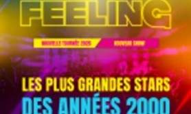 I Gotta Feeling - La Tournée des Années 2000