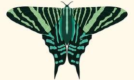 Fête de la nature : Atelier créatif collages