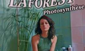 Cécile Laforest - Photosynthèse