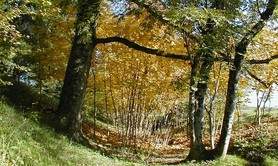 Les Jardin d'Hélys