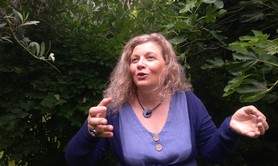 stéphanie Duquesne - Contes du jardin