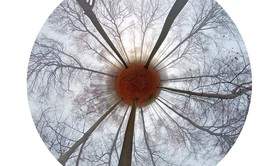Mireille Roobaert - Photographe