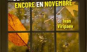 Les guêpes de l'été nous piquent encore en novembre. 