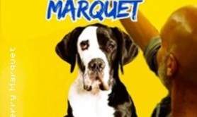 Thierry Marquet - Foutage de Gueule ? ( Tournée )
