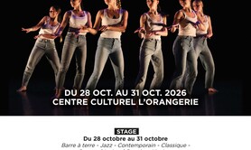 Festival Les envolées d'automne