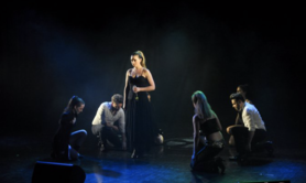 HITS LIVE - SPECTACLES A THEMES ET CONCERTS-SPECTACLES
