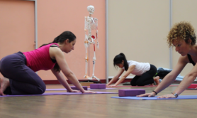 L'air ivre - Cours de YOGA vinyasa