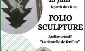 Atelier créatif - Folio sculpture / dentelle de feuilles