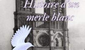 Histoire d'un Merle Blanc - Théâtre du Nord-Ouest, Paris
