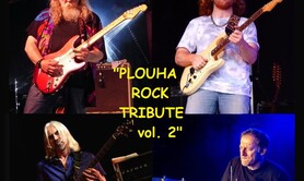 CONCERT APERO HOFMANN FAMILY BLUES + YONEL (ONE MAN BAND)