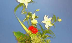 Quartier Japon - Ateliers d'ikebana - l'art floral japonais