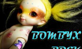 Bombyx - Groupe rock de reprises et compos 