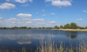 Observatoire de l'Etang Neuf (Domaine du Plessis)