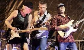 Cat MOYSE - ELIXIR Potion Rock