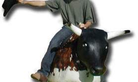 Rodéo - Démonstration de rodéo