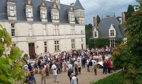 Château de Nitray