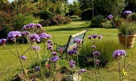 Les Jardins ethnobotaniques de Haute Terre