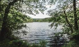 ÉTANG DE  L'ERBSENTHAL - RESERVE NATURELLE