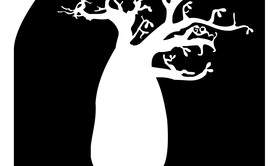 Association L'arbre Palabres  - Danse et Percussion Africaine et Afro-Caraibeenes 