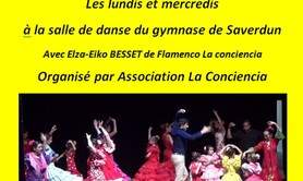 Association La Conciencia - FLAMENCO - cours de danse en Ariège