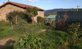 Les WE Feldenkrais et Voix