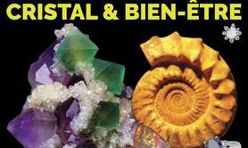 26ᵉ Salon des Minéraux, Fossiles et Bijoux