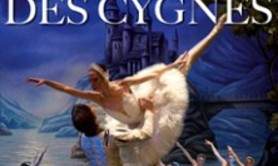 Le Lac des Cygnes - International Classical Ballet of Ukraine - Tournée