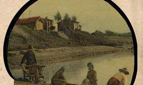 LES PUCES de LA VOULTE