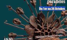 Exposition Jungles parallèles