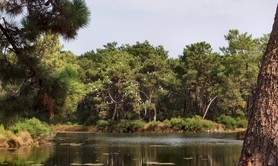 Réservoirs de Piraillan