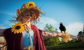 Graines de bonheur - Art'monie - déambulation poétique participative